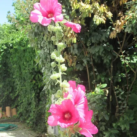 D'hote A 100m De La * 沙特拉永普拉日